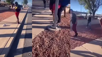 Daily Fight Videos Found On Ig