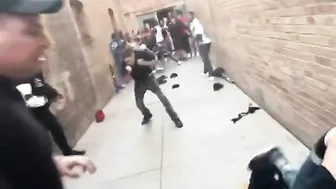 A BJJ Training Reminder: Brawl Before A Concert ????