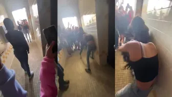 Girl fights Viral!