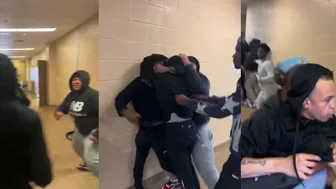 Why Cant Every Camera Man Capture Fights Like This? ????????