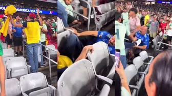 Mexico and Ecuador Fans Fighting In The Stands