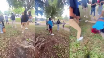 Daily crazy fights.