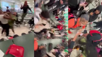 Daily crazy fights dominate the day!