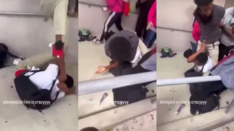 Daily Fights And Entertainment With Bro Sounds Like An Anime Character