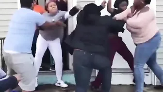 Daily Fight Videos