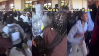 Daily crazy fights overpower us! ????‍♂️????