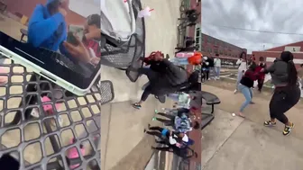 Daily crazy fights overpower the day!