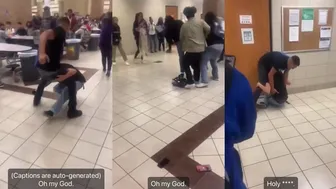 Daily crazy fights dominate!