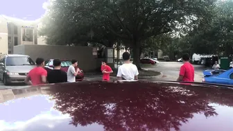 Boxer Versus Bully