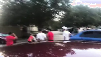 Boxer Versus Bully