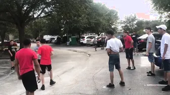 Boxer Versus Bully