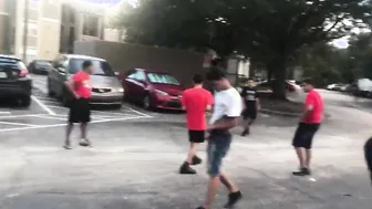 Boxer Versus Bully