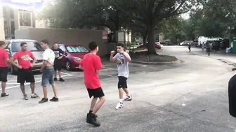 Boxer Versus Bully