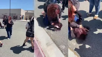 Send In Girl Fights!!