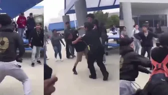 Little guy Was Eating Punches For Lunch