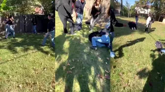 Daily crazy fights dominate the day!