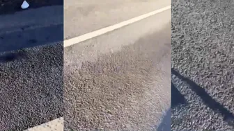 Connor McGregor Forgives Bike Driver After Accident