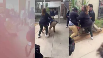 Daily crazy fights at school ????