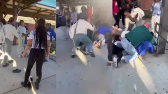 Daily crazy fights!