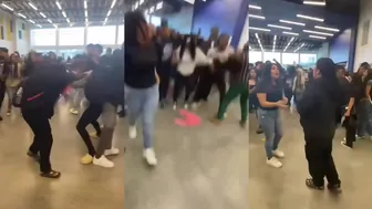 Daily crazy fights dominate the day!