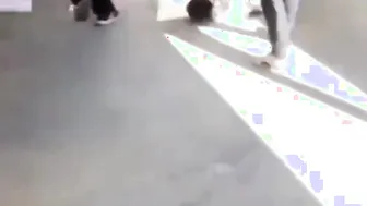 He Died ?????