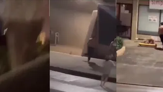 Daily Crazy Fights Erupt In The Street