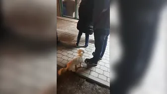 Drunk guy gets laid out in a karate chop fight.