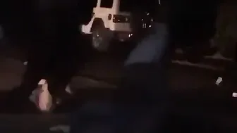 Fights Galore