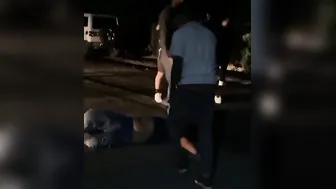 Fights Galore