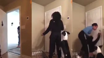 Its Made For You If You Like This Crazy Fight - The Rest Is History