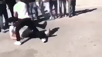 Dont Fight, Just Watch Others Do It
