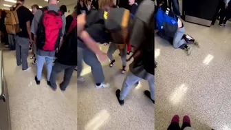 Daily crazy fights reignited!