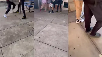 Daily crazy fights dominate the day!