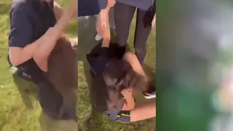 Girl Fights After Phone Dropped