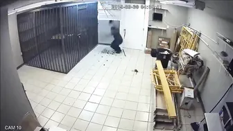 Top #1 Fight Videos ????????