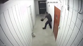 Top #1 Fight Videos ????????