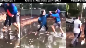 Street Fight Carnage Reels Brutal Knockout Viral Rage