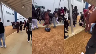 Girl Fights Viral
