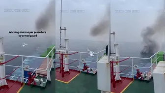 Daily Fights And Entertainment Fire Clash