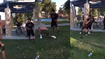 Non-stop Fight Action And Wild Viral Videos!