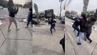 Girl Fights Viral Videos