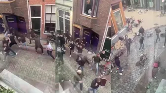 Daily freakouts and More!