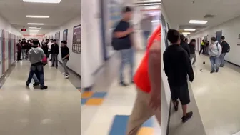 Daily crazy fights - fierce and fiery!