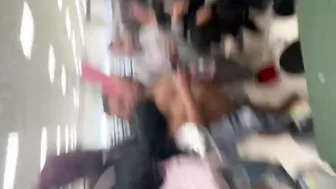 Daily crazy fights overwhelm us! ????