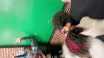 Daily crazy fights overwhelm us! ????