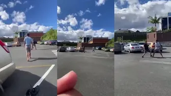 Nz Fight Daily Battle