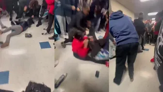 Daily crazy fights dominate!
