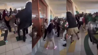 Daily crazy fights overpower us!