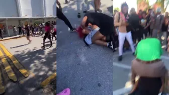 Daily fight videos: The Whole Schools Fight!