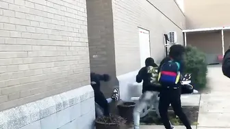 They jumping - Daily Fight Video